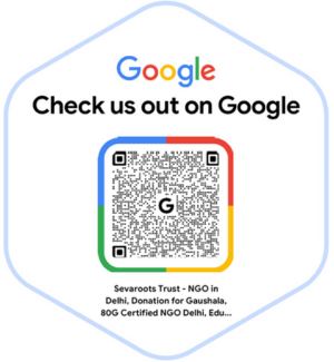 sevarootsfoundation-org